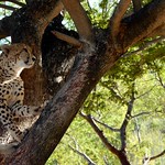 photo by Yvon Pons on Flickr